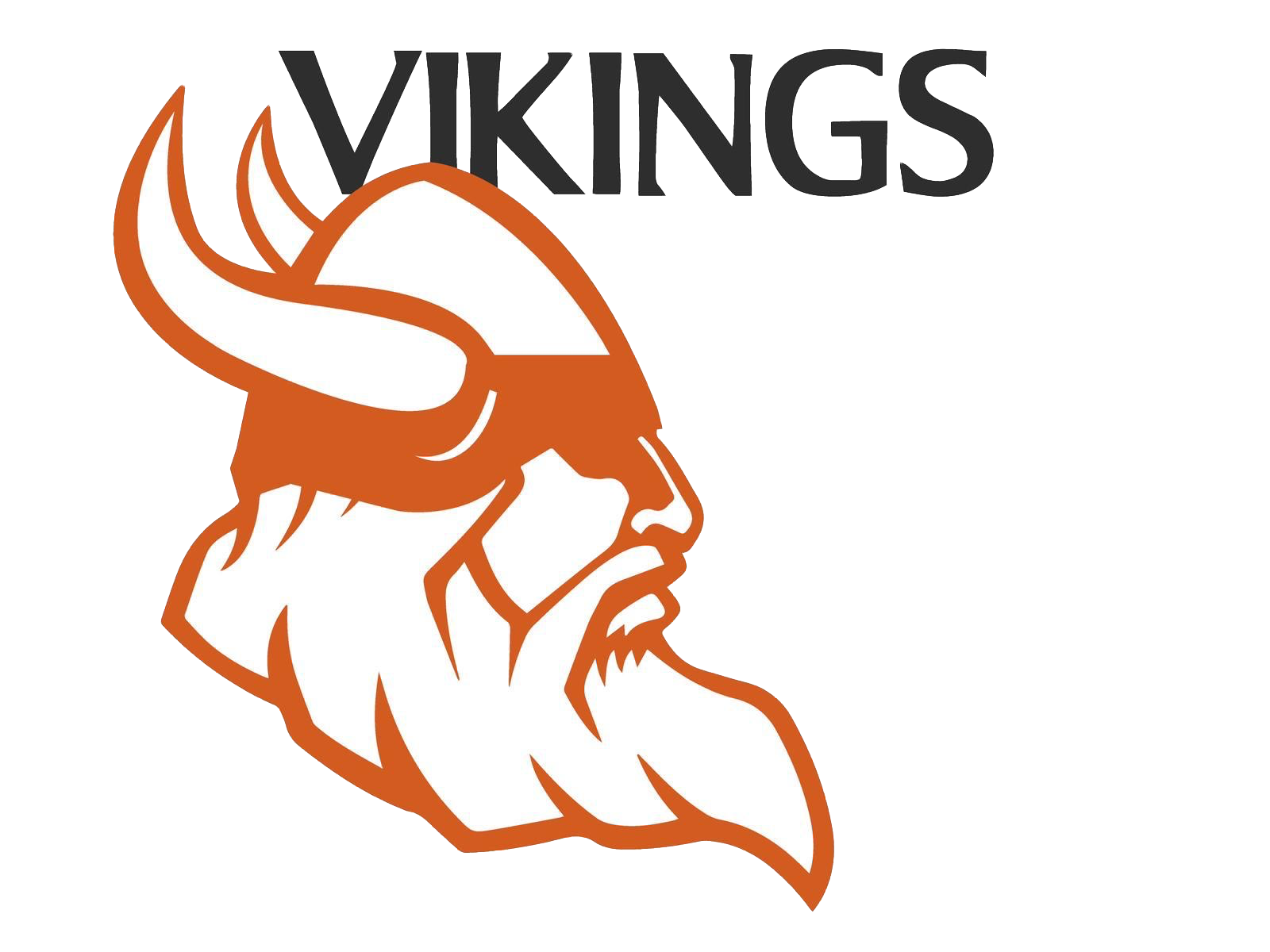 Vikings circle logo
